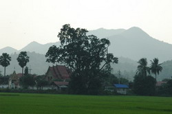 Rural view of a Northern Thai Temple and mountain.